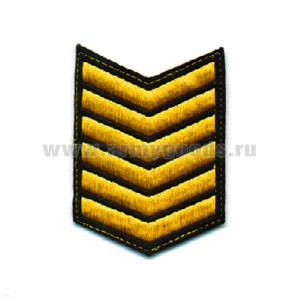 Курсовка вышит. 6 курс (черн.)