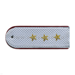 Погоны ФСИН светло-серые с крап. кантом на рубашку, вышит. канителью (ст. прапорщик)