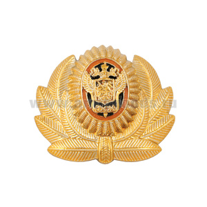 Кокарда пласт. Федерация Союза Казаков бол. зол. (ФСК)