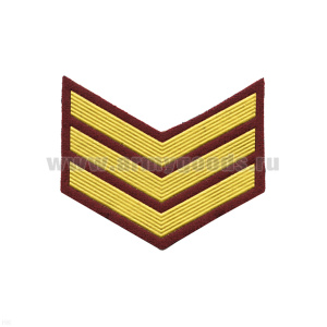 Курсовка пластизол. 3 курс (крапов.) галочка