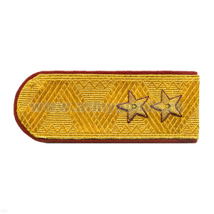Погоны ФСИН генерал-лейтенант (парадные) золотые с крапов. кантом