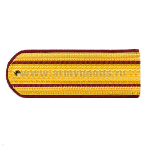 Погоны парад. зол. шелк. 2 крап. пр. (ФСИН)