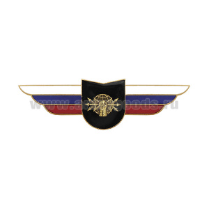 Значок мет. Должностной знак командира учебной воинской части и другого воинского формирования (РЭБ) (№102)