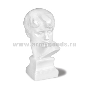 Бюст Есенина С. А. (гипс, цвет по наличию на складе, высота 11 см)