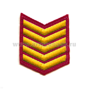 Курсовка вышит. 5 курс (крапов.) люрекс