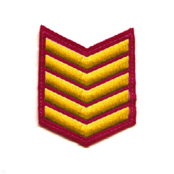 00000013315