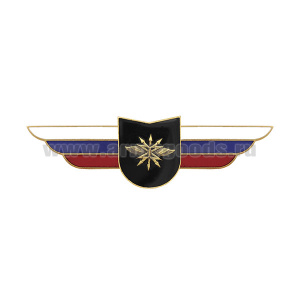 Значок мет. Должностной знак командира учебной воинской части и другого воинского формирования (войска связи) (№97)