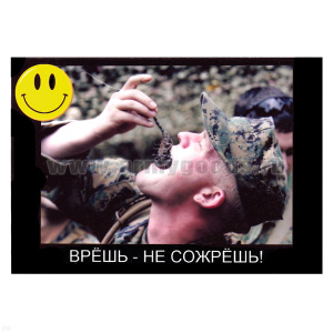 Магнит виниловый (гибкий) со смайликом Врешь - не сожрешь!