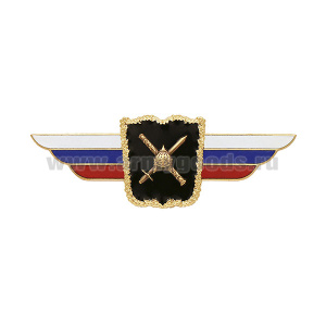 Значок мет. Должностной знак начальника военной академии Генштаба ВС РФ (№8)