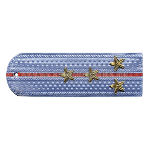 Погоны Полиция нов/обр без канта серо-голуб. вышит. канителью (капитан)