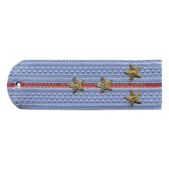 Погоны Полиция нов/обр без канта серо-голуб. вышит. канителью (капитан)