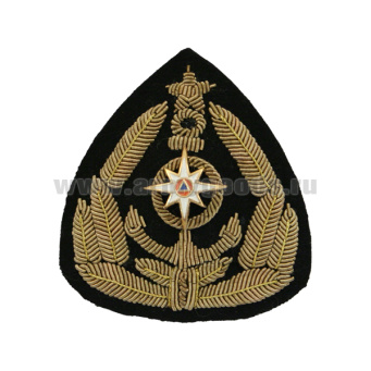 Кокарда канит. лат. ГИМС (с мет. вставкой, со звездой)