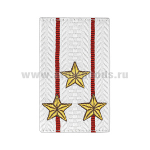 Ф/пог. Полиция белые тканые (полковник) приказ № 777 от 17.11.20