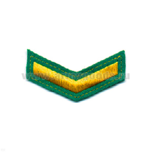 Курсовка вышит. 1 курс (зел.)