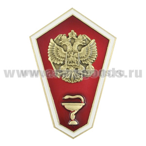 Значок мет. "Гробик" Среднее медицинское образование (латунь, хол.эм. с накладным орлом РФ)