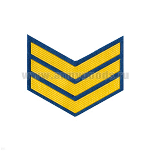 Курсовка пластизол. 3 курс (голуб.)