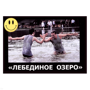 Магнит виниловый (гибкий) со смайликом Лебединое озеро