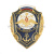 Значок мет. Отличник ВМФ (с флагом РФ)