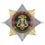 Значок мет. Орден-звезда Полиция ВОХР