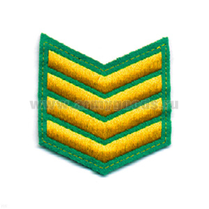 Курсовка вышит. 4 курс (зел.)