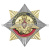 Значок мет. Орден-звезда Космические войска (орел)