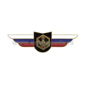 Значок мет. Должностной знак командира учебной воинской части и другого воинского формирования (РХБЗ)