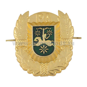 Кокарда мет. Республика Абхазия (бол.) зол.