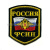 Шеврон вышит. Россия ФСИН (5-уг. с флагом и орлом)