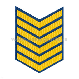 Курсовка пластизол. 6 курс (голуб.)