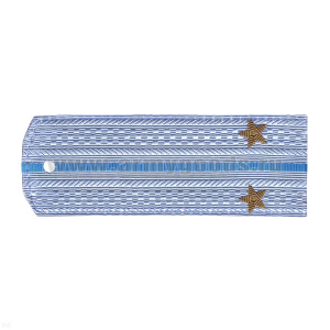 Погоны ВВС голуб. с голуб. просв. (на рубашку) вышит. канителью (лейтенант)