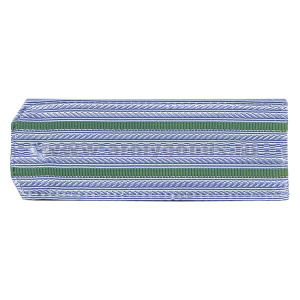 Погоны голуб. 2 зел. пр. (ПС ФСБ руб.) на пластике