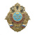 Значок мет. ВДВ (2-глав. орел)