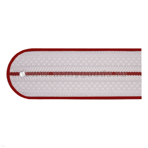 Погоны белые (крап. кант) 1 крап. пр. (ФСИН на белую рубашку) пластик