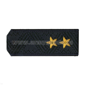 Погоны генерал-лейтенант иссиня-черн. (ФСБ / ПС ФСБ) на куртку (ст/обр)