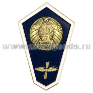 Значок мет. "Гробик" РБ Среднее авиационно-техническое образование (латунь, хол.эм. с накладкой)