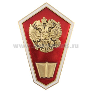 Значок мет. "Гробик" Среднее юридическое образование (латунь, хол.эм. с накладкой)