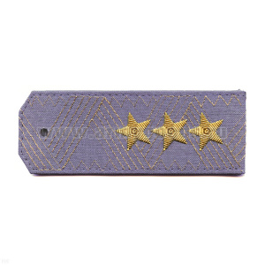 Погоны генерал-полковник серо-голуб. Милиция (на рубашку)