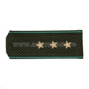 Погоны ПС ст/обр оливк. с зел. кантом, вышит. канителью  (ст. прапорщик)