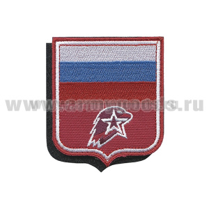 Шеврон вышит. Юнармии (с флагом РФ и орлом) на липучке