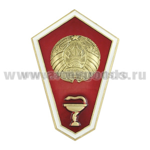 Значок мет. "Гробик" РБ Среднее медицинское образование (латунь, хол.эм.)