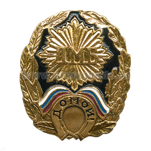 Значок мет. ДМБ Домой! (черн.) с подковой