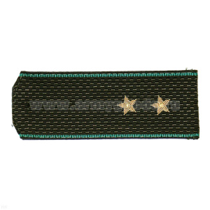 Погоны ПС ст/обр оливк. с зел. кантом, вышит. канителью  (прапорщик)