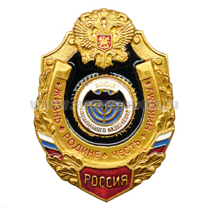 Значок мет. Войска спецназ (серия Жизнь Родине,Честь никому)