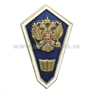 Значок мет. "Гробик" (алюм.) среднее гуманитарное образование