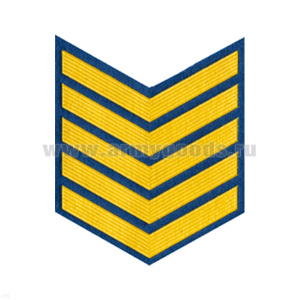 Курсовка пластизол. 5 курс (голуб.)