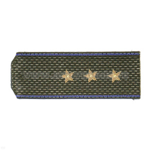 Погоны ФСБ ст/обр оливк. с вас. кантом, вышит. канителью  (ст. прапорщик)