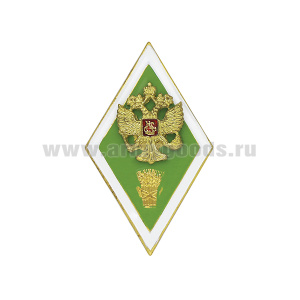 Значок мет. Ромб Высшее сельскохозяйственное образование (латунь, хол.эм. с накладным орлом РФ) эконом