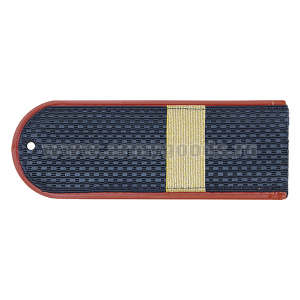 Погоны серо-син. крап. кант (ФСИН на китель) с нашит. металлиз. текстил. гал (ст. сержант) пластик