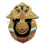 Значок мет. Войска связи (серия Россия)