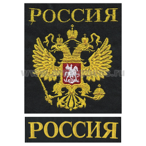 Футболка с вышивкой на груди и на спине Россия (герб) черная